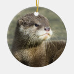 Cute Baby Otter Ornaments