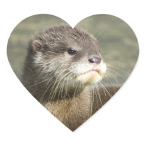 Cute Baby Otter Heart Stickers