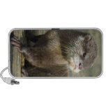 Cute Baby Otter Travel Speaker