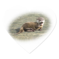 Cute Baby Otter Yawning