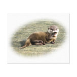 Cute Baby Otter Yawning Stretched Canvas Print