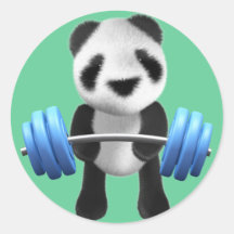 Cute baby panda bear powerlifter in 3d (editable) round sticker