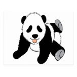Cute Baby panda cub playing Post Card
