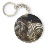 Cute Baby Zebra keychains