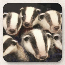 Cute Badger Cubs Drink Coaster