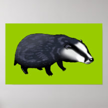 Cute badger posters