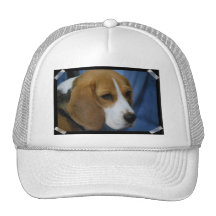 Cute Beagle  Baseball Hat