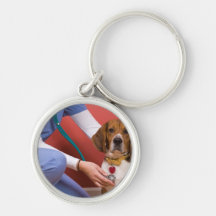 Cute Beagle Dog Getting a Veterinary Checkup Key Chain