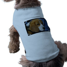 Cute Beagle Pet Shirt