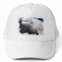 Cute Beluga Whale Baseball Hat