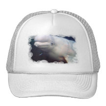 Cute Beluga Whale Baseball Hat