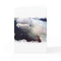 Cute Beluga Whale Greeting Card