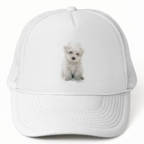 Cute Bichon Frise Baseball Hat