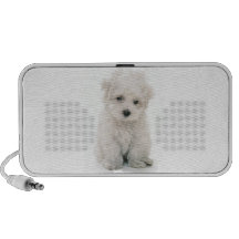 Cute Bichon Frise Speakers
