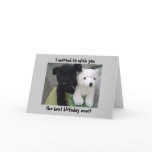 Cute Birthday Card