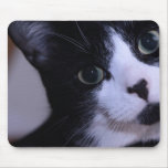 Cute Black and White Cat Face mousepads