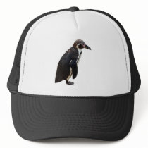 Cute Black and White Humboldt Penguin Hat
