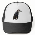 Cute Black and White Humboldt Penguin Hat