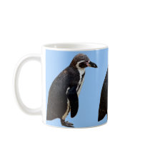 Cute Black and White Humboldt Penguin