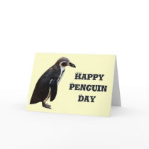 Cute Black and White Penguin Birthday Card
