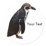Cute Black and White Penguin Sticker Name Tag