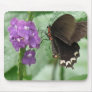 Cute Black Butterfly Mouse Pads