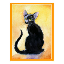 Cute black cat or kitten postcard