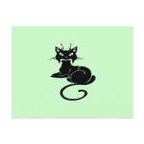 Cute Black Kitty