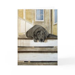 Cute Black Lab Greeting Card