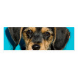 Cute Borkie Puppy business cards