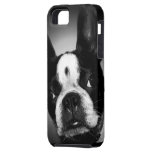 Cute Boston Terrier dog iPhone 5 Cover