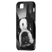 Cute Boston Terrier dog iPhone 5 Cover