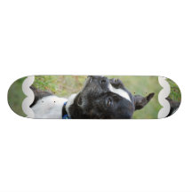Cute Boston Terrier Skateboard
