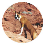 Cute Boxer Dog 1 Round Sticker