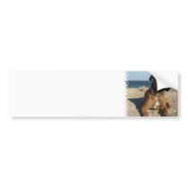 Cute Boxer Dog Bumper Sticker