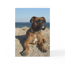 Cute Boxer Dog Greeting Card