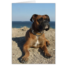 Cute Boxer Dog Greeting Card