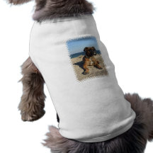 Cute Boxer Dog Pet Shirt