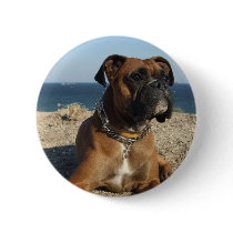 Cute Boxer Dog Round Button