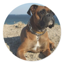 Cute Boxer Dog Sticker