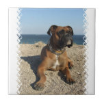 Cute Boxer Dog  Tile