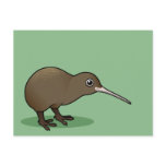 Cute Brown Kiwi from New Zealand postcards