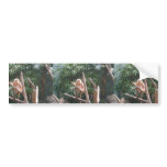 Cute Brown Monkey On The Tree bumper stickers