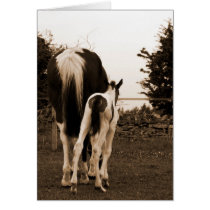 cute bum cards
