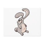 Cute Bunny Standing Up Right