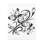 Cute Butterfly's Postcards