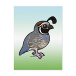 Cute California Quail postcards