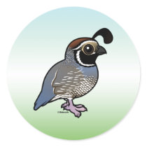 Cute California Quail Sticker