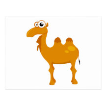Cute camel postcards