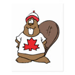 Cute Canadian Beaver Post Cards